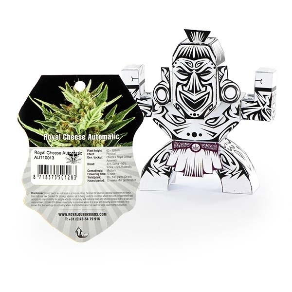 Royal Cheese Automatic - samonakvétací semínka 3 ks Royal Queen Seeds