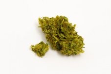 Wellness - Indoor CBD kvety Cannapio 1g