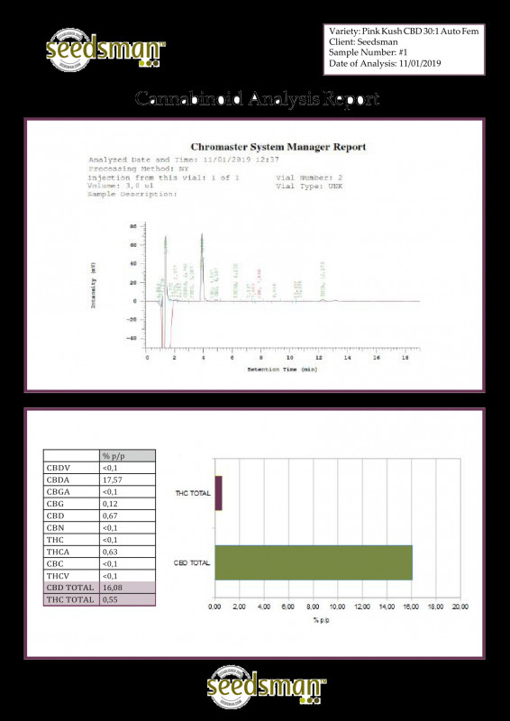 Pink Kush CBD 30:1 samonakvétací semínka 5 ks Seedsman