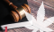 Hemp Cultivation Law in 2022