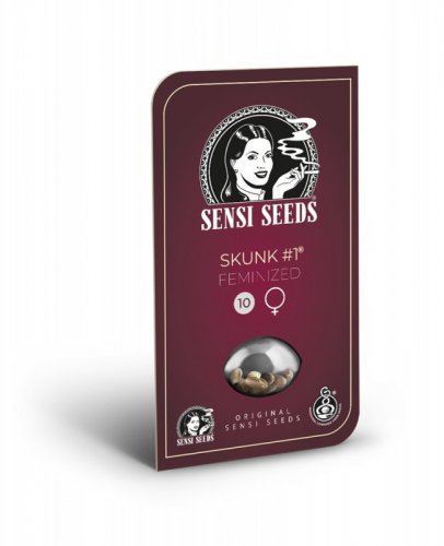 Skunk n.1 - nasiona feminizowane 5 szt Sensi Seeds