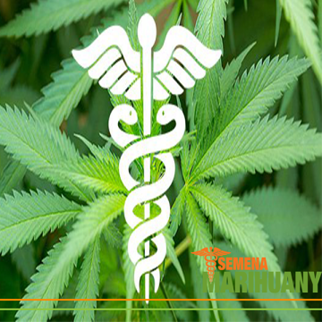 Therapeutische Cannabinoide 5: CBDV