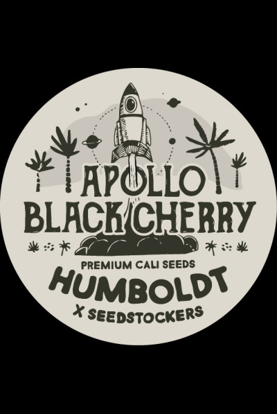 Apollo Black Cherry - feminizované semena konopí HumboldtXSeedstockers, 3 ks