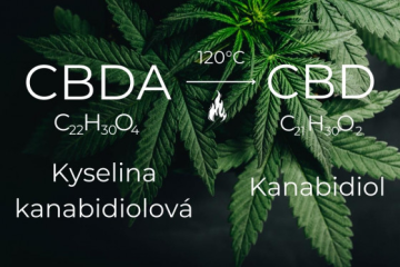 CBDA vs. CBD - Aké sú rozdiely?