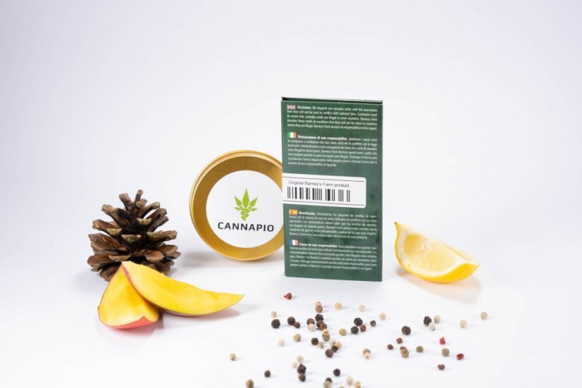 Amnesia Lemon – feminizované semienka 3 ks Barney Farms