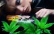 Cannabis Addiction in Young Adults - An Australian Study