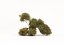 Zenergy - Indoor CBD Flowers Cannapio 500g