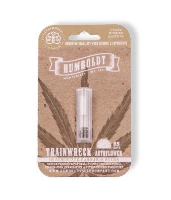 Trainwreck Auto - autoflowering marijuana seeds 5 pcs, Humboldt Seed Company