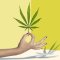 CBD and Hormonal Imbalance