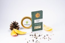 Amnesia Lemon - feminized seeds 3 pcs Barney's Farm