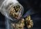 How to Store CBD Hemp Flowers and Other Hemp Products?