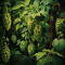 HUMULENE: THE THERAPEUTIC EFFECTS OF THIS CANNABIS TERPENE