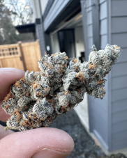 Solfire Gardens Diamond Daggers feminizovaná semena, 6 ks
