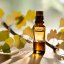 BIO Ginkgo - 100% natürliches infundiertes Öl (10 ml)