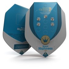 Royal Highness - feminizowane nasiona 5ks Royal Queen Seeds