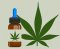 CBD and Alzheimer's Disease