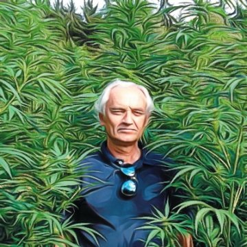 Proprietà Antinfiammatorie dei Terpenoidi della Cannabis