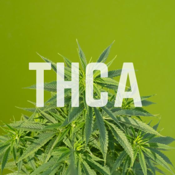 THC vs THCA: V čom je rozdiel?