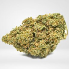 Critical - CBD Cannapio Flowers, 1g