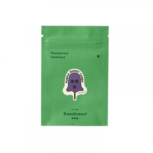 Purple Ghost Candy - feminisierte Hanfsamen 5 Stück, Seedsman
