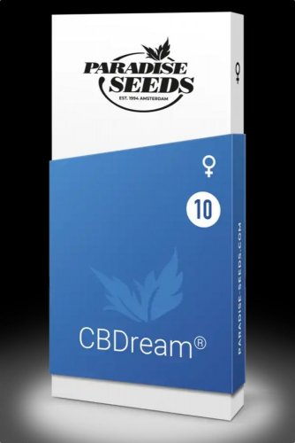 CBDream - 10ks feminizovaná semienka Paradise Seeds