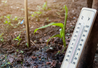 How does the right temperature affect plant growth?