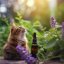 Katzenminze - 100% natürliches ätherisches Öl (10ml) - Pestik