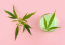 Hemp Ointment: Uses and Effects