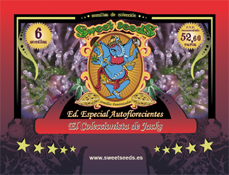 Mix Auto Jack - fem. a autoflowering semienka 6ks Sweet seeds