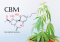 New Cannabinoid on the Scene: Meet CBM