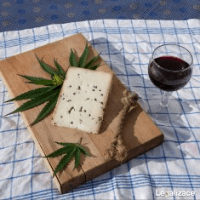 Cheese Cannabis: Genética Legendaria de Aroma a Queso