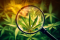 THCB: ON THE TRAIL OF A MYSTERIOUS AND RARE CANNABINOID
