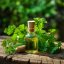 BIO Parsley - 100% Natural Essential Oil (10ml) - Pestik