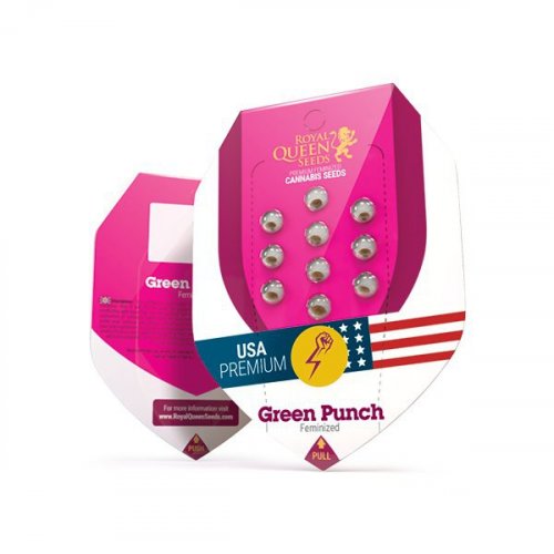 Green Crack Punch - feminizovaná semienka 3 ks Royal Queen Seeds