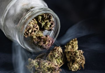 Wie lagert man CBD-Hanfblüten und andere Hanfprodukte?