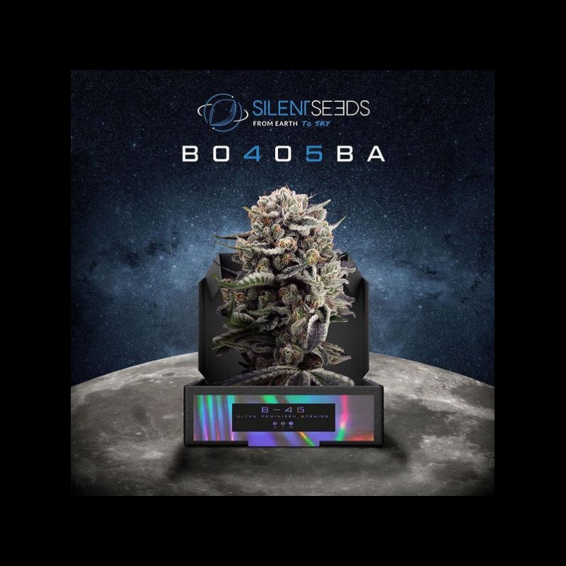 B-45 by BOOBA - feminizované semena 3ks, Silent Seeds