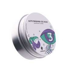 Auto Banana OG Kush - autoflowering semena 3 ks Cannapio