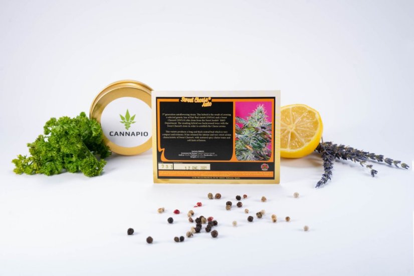 Sweet Cheese Auto – 5 ks autoflowering semínek  Sweet Seeds