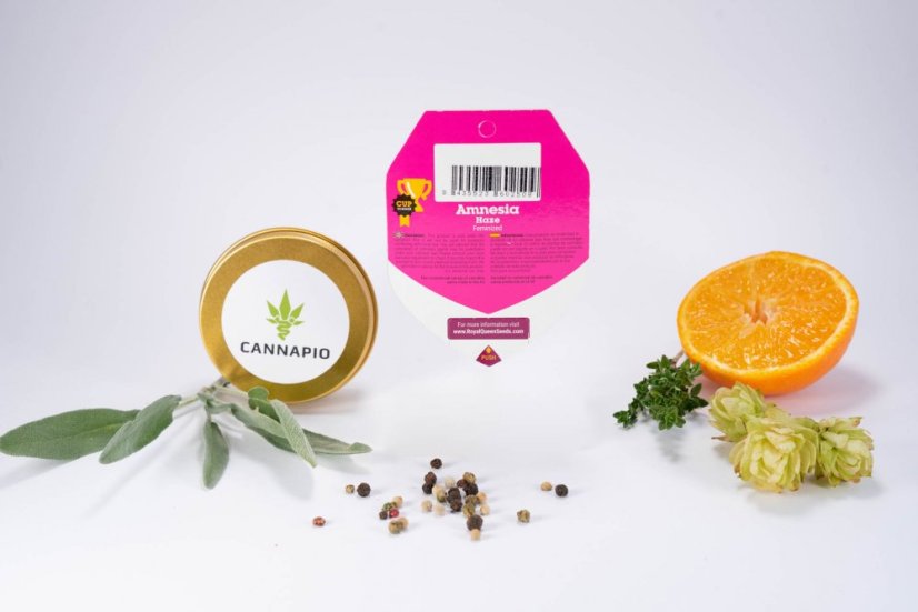 Amnesia Haze - feminizované semená 10 ks Royal Queen Seeds