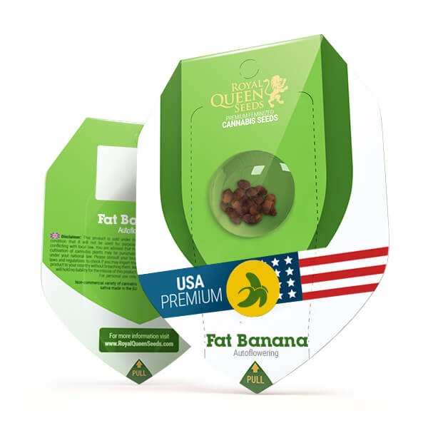 Fat Banana Automatic - semi autofiorenti 3 pz Royal Queen Seeds