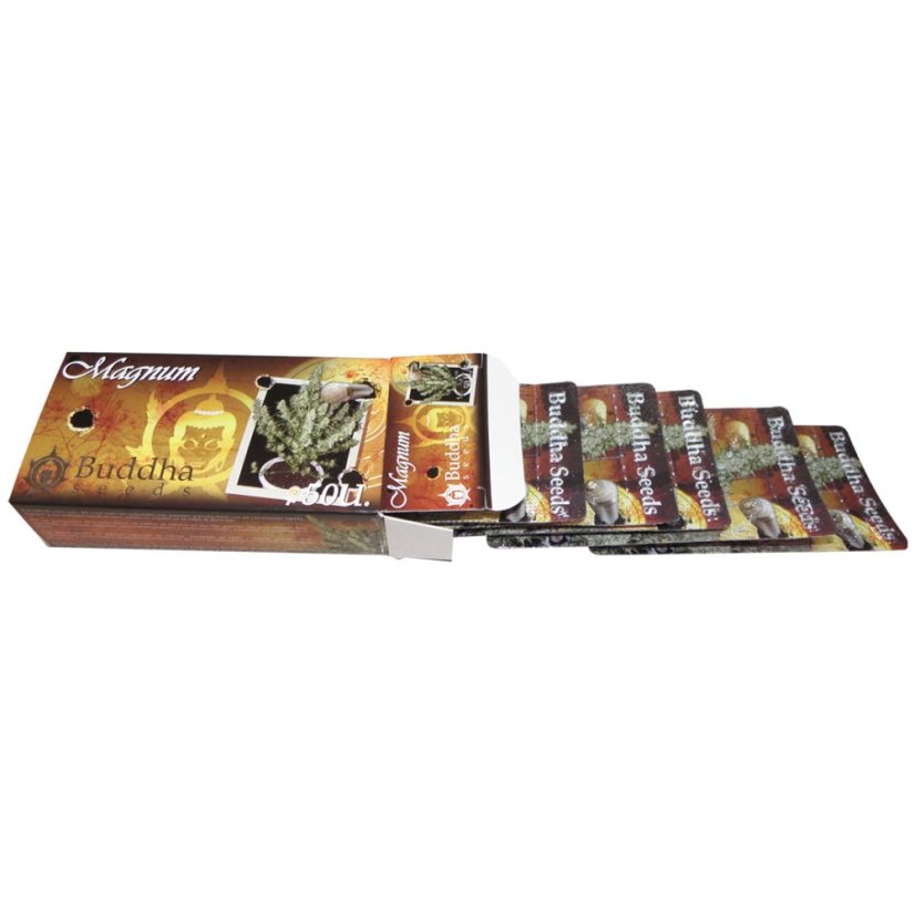 Magnum auto - feminizované semená, 3 ks, Buddha Seeds