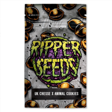 Ripper Seeds UK Cheese x Animal Cookies feminizované semená