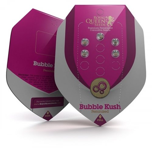 Bubble Kush - 3 sztuki feminizowanych nasion Royal Queen Seeds