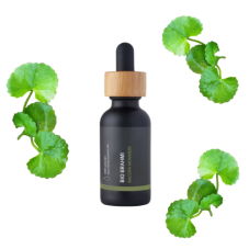 BIO Brahmi - 100% přírodní esenciální olej (10ml) - Pěstík