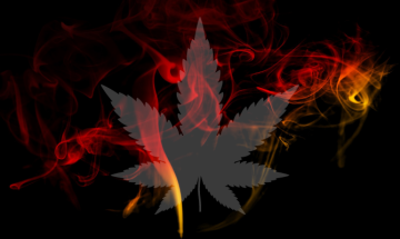 Passives Rauchen von Cannabis – werde ich den Drogentest bestehen?
