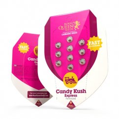 Candy Kush Express Fast Flowering feminizované semienka 3ks Royal Queen Seeds