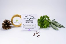 Auto CBD-Victory® - feminizowane i samokwitnące nasiona 7 szt Dutch Passion