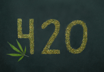 420: Wie der 20. April zum Cannabis-Tag wurde?