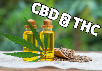 Ideálny pomer CBD a THC: Ako nájsť ten najlepší pre vaše potreby?