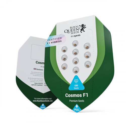 Cosmos F1 - autoflowering CBD Marihuana Samen 5Stck, Royal Queen Seeds